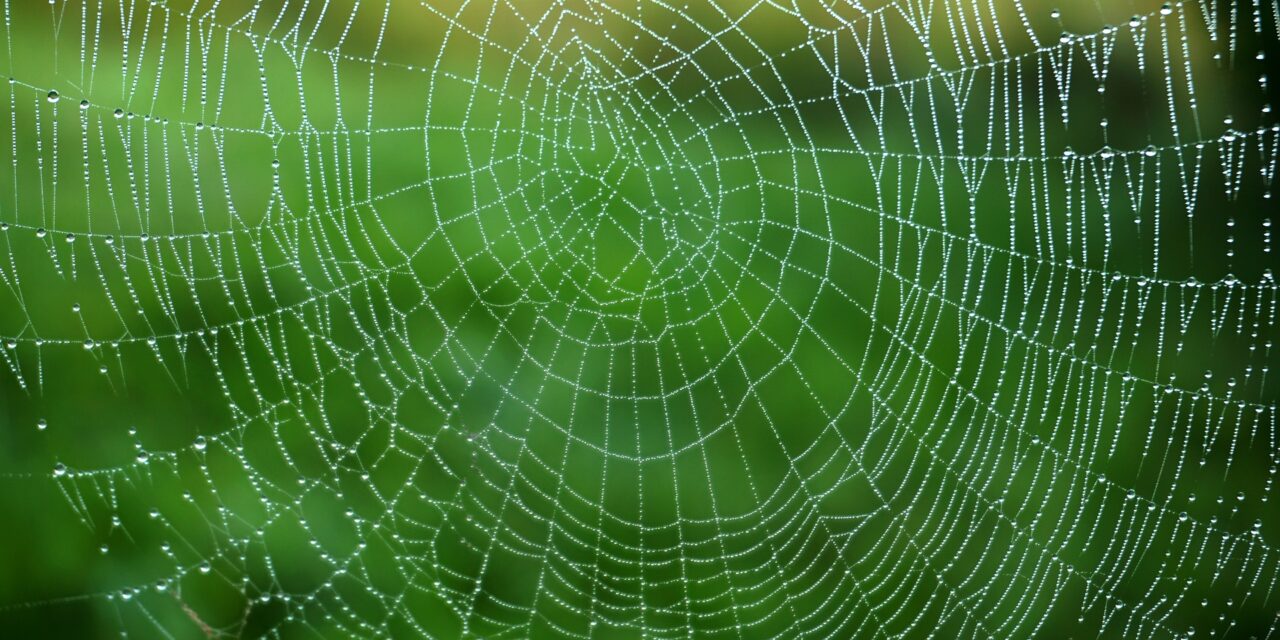 Hochleistungsmaterial – Spinnfäden